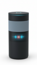Smart speaker with adaptive acoustics